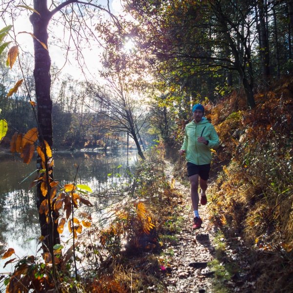 Vallon de la Chambre au Loup / Broceliande.guide