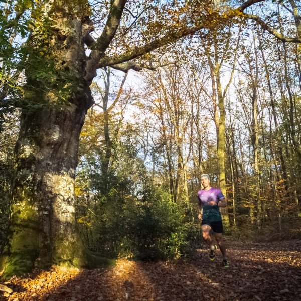 Stage trail itinérant à Brocéliande