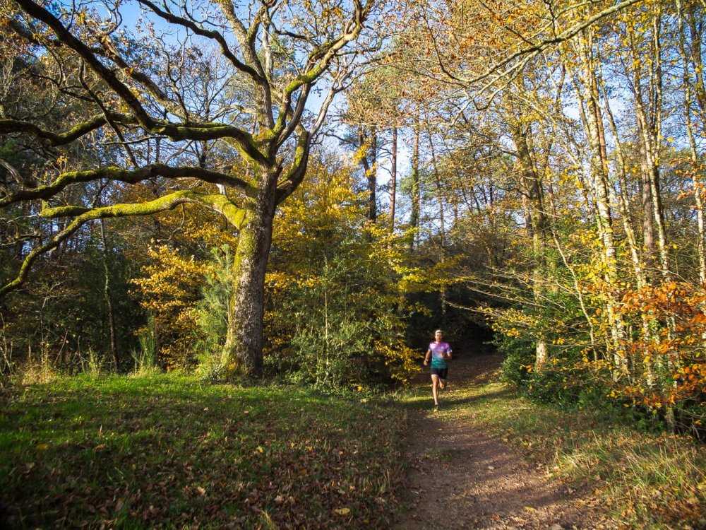 Trail : Grand tour de Brocéliande