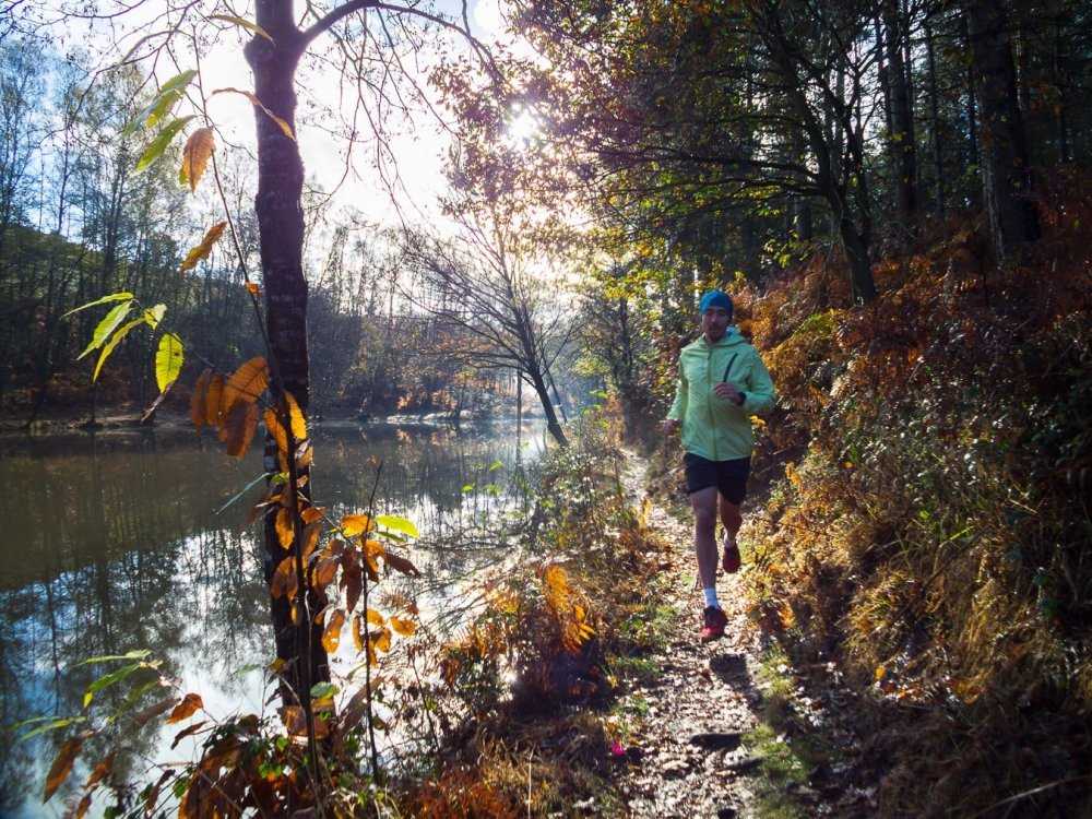 Vallon de la Chambre au Loup / Broceliande.guide