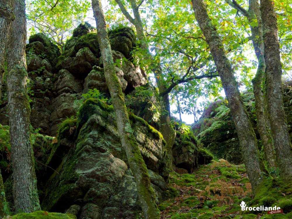 Barre rocheuse dans la vallée de l'Aff / Broceliande.guide