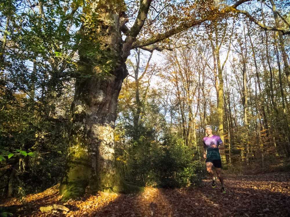 Stage trail itinérant à Brocéliande